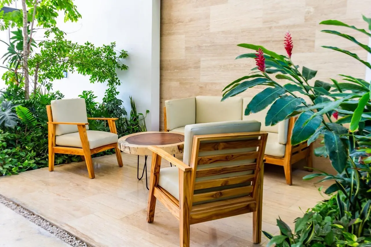 Big Studio At Kaab By The Beach With Roof Top Pool, Sauna And Jacuzzi Near Paseo Del Carmen Mall بلايا ديل كارمن 0*,  المكسيك
