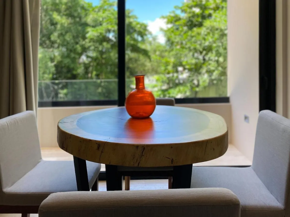 Big Studio At Kaab By The Beach With Roof Top Pool, Sauna And Jacuzzi Near Paseo Del Carmen Mall بلايا ديل كارمن المكسيك
