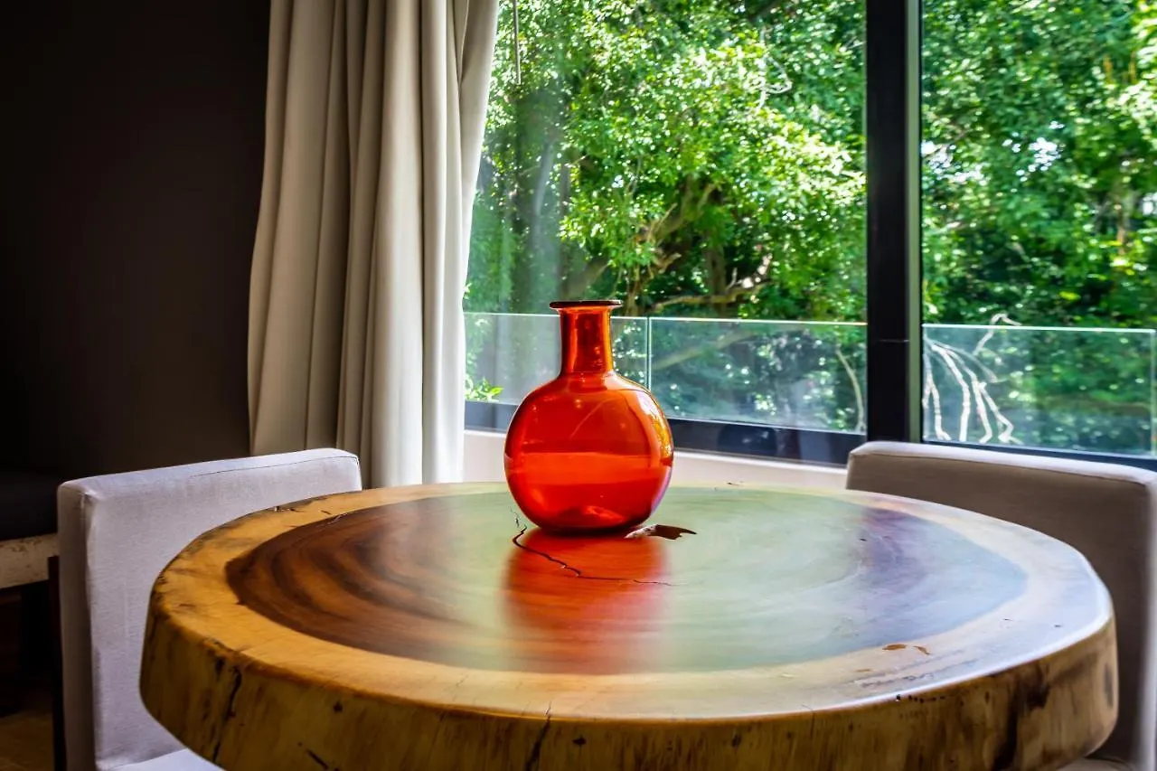 Big Studio At Kaab By The Beach With Roof Top Pool, Sauna And Jacuzzi Near Paseo Del Carmen Mall بلايا ديل كارمن