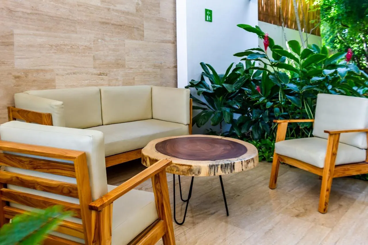Big Studio At Kaab By The Beach With Roof Top Pool, Sauna And Jacuzzi Near Paseo Del Carmen Mall بلايا ديل كارمن