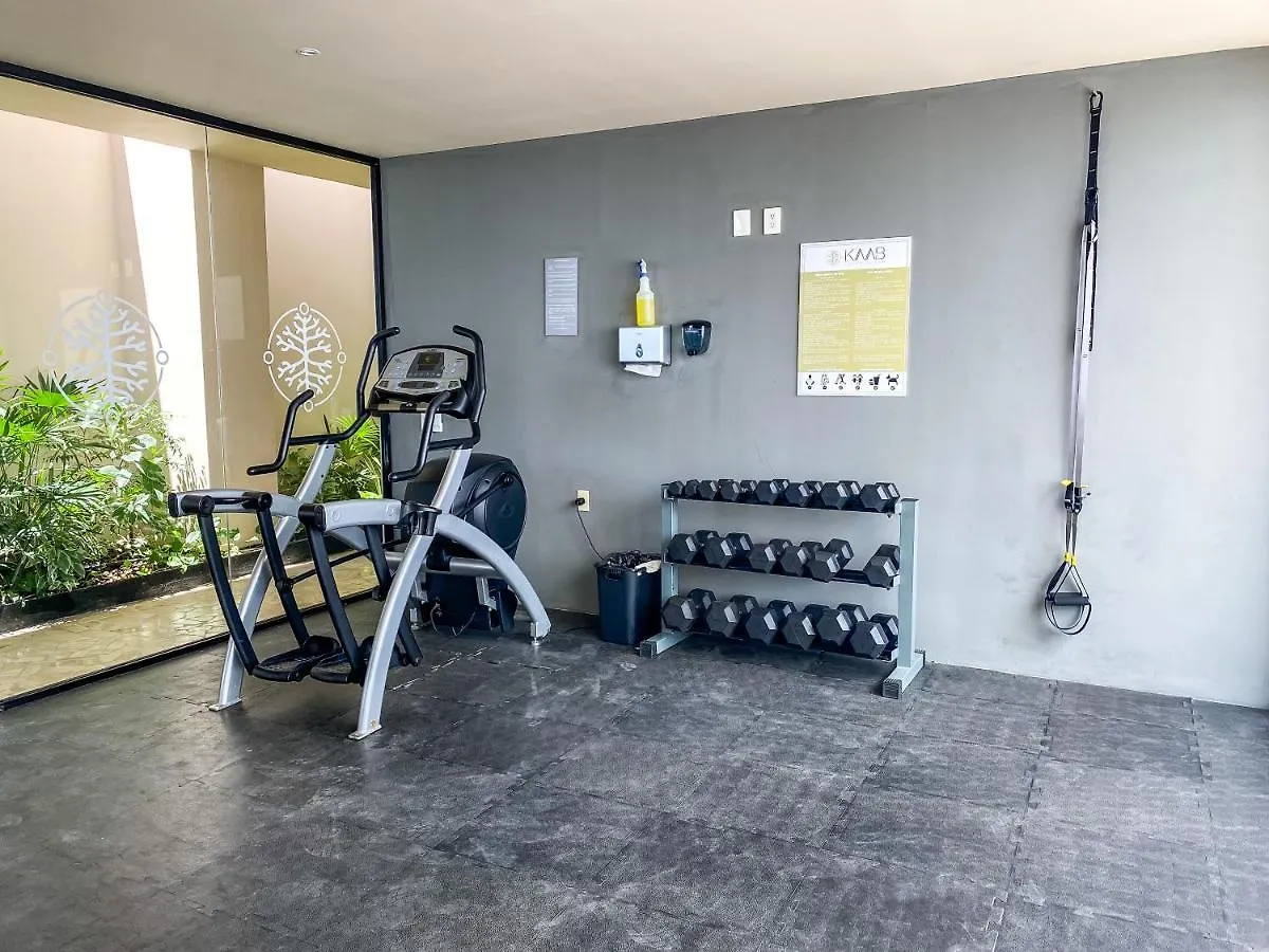شقة Big Studio At Kaab By The Beach With Roof Top Pool, Sauna And Jacuzzi Near Paseo Del Carmen Mall بلايا ديل كارمن