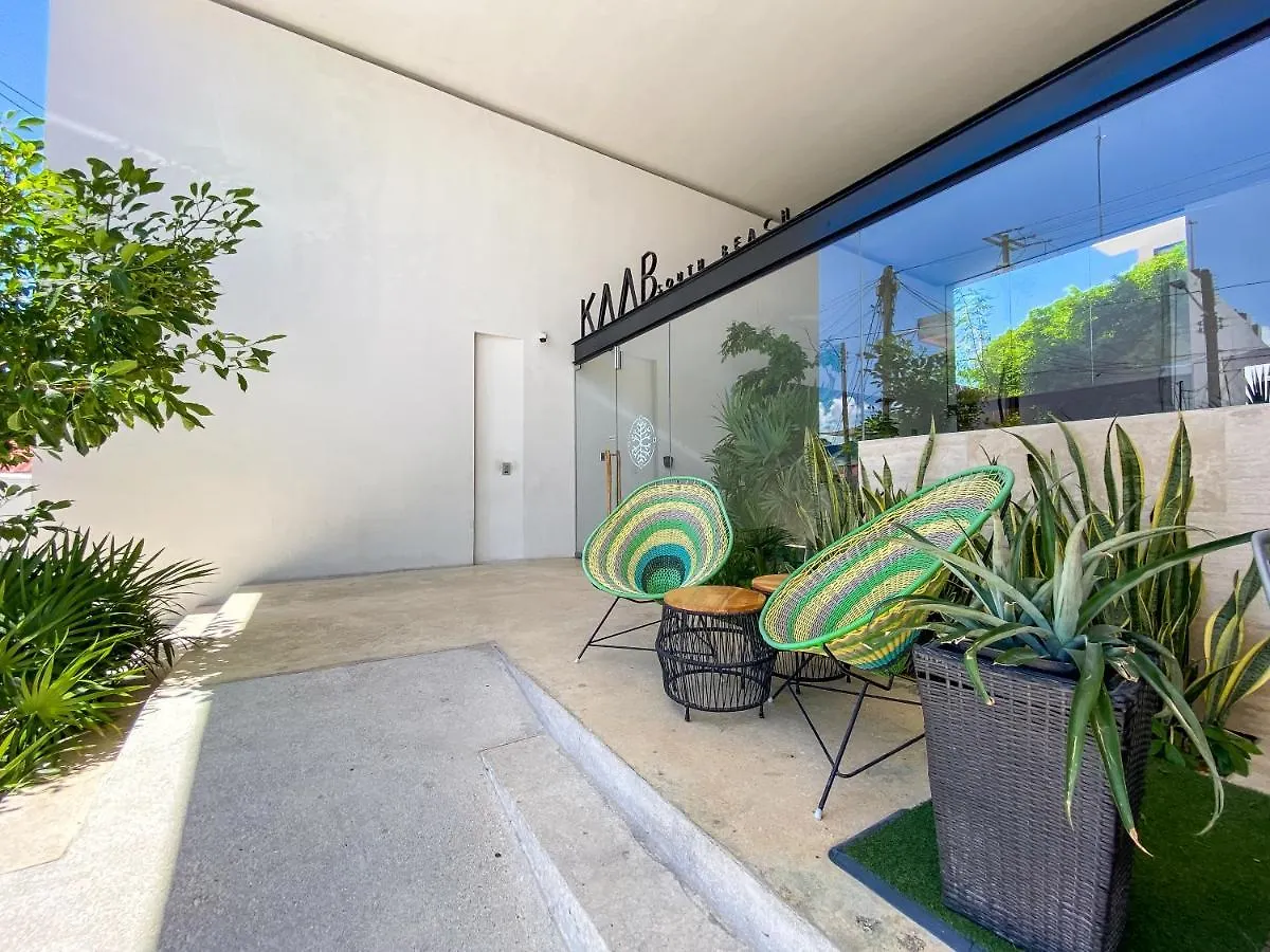 Big Studio At Kaab By The Beach With Roof Top Pool, Sauna And Jacuzzi Near Paseo Del Carmen Mall بلايا ديل كارمن 0*,  المكسيك