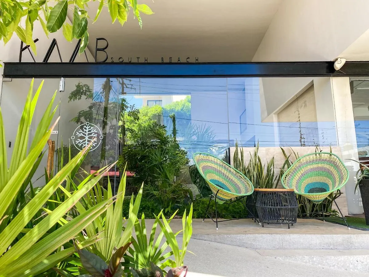 Big Studio At Kaab By The Beach With Roof Top Pool, Sauna And Jacuzzi Near Paseo Del Carmen Mall بلايا ديل كارمن