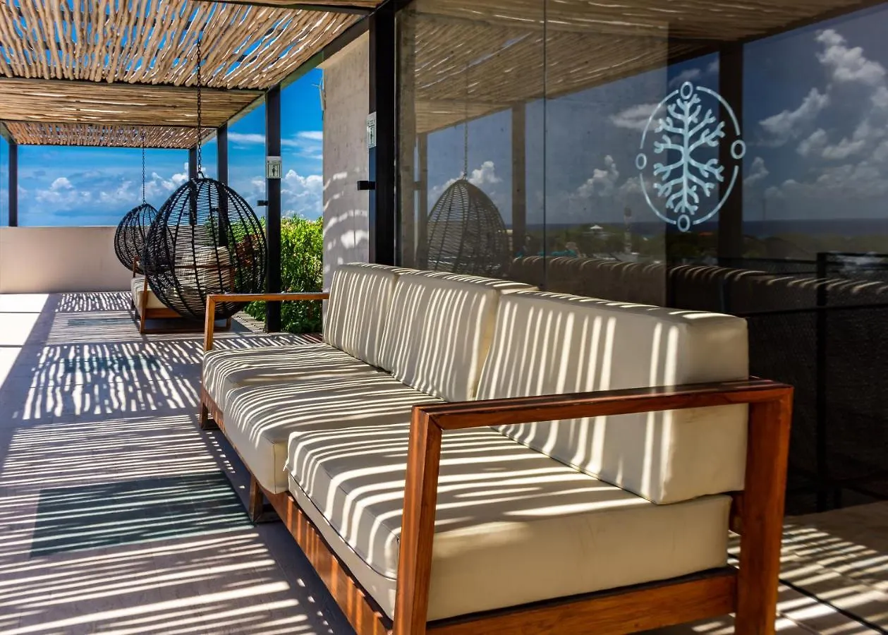شقة Big Studio At Kaab By The Beach With Roof Top Pool, Sauna And Jacuzzi Near Paseo Del Carmen Mall بلايا ديل كارمن
