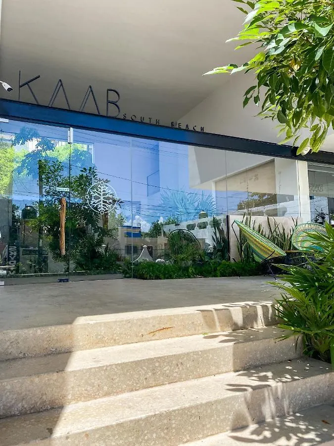 Big Studio At Kaab By The Beach With Roof Top Pool, Sauna And Jacuzzi Near Paseo Del Carmen Mall بلايا ديل كارمن شقة
