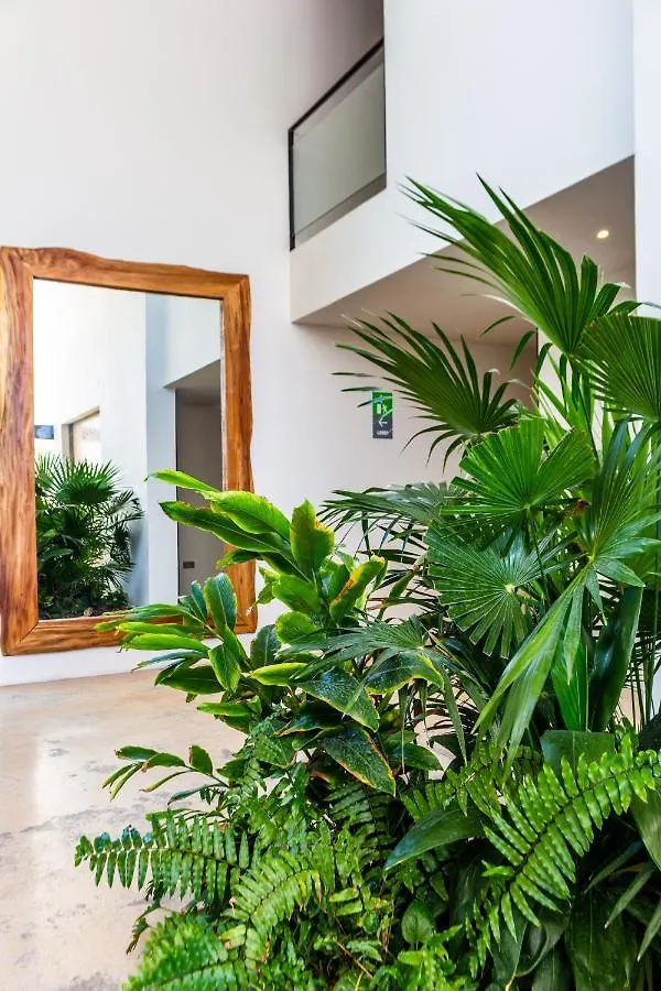 Big Studio At Kaab By The Beach With Roof Top Pool, Sauna And Jacuzzi Near Paseo Del Carmen Mall بلايا ديل كارمن