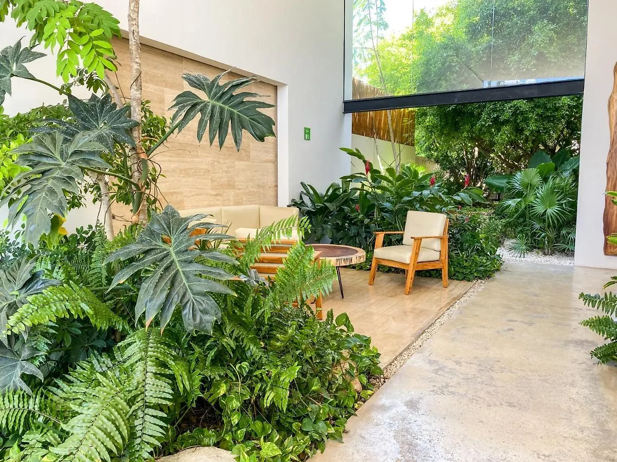 Appartement Big Studio At Kaab By The Beach With Roof Top Pool, Sauna And Jacuzzi Near Paseo Del Carmen Mall Playa del Carmen